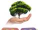 Aiutiamo l'ambiente con il Detersivo alla spina